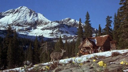 Adventures Of The Wilderness Family Part 2 - Trailer