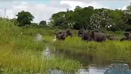 임실출장서비스 임실출장서비스O1OE2908E6803｛카톡ABC23｝ 임실출장마사지샵 임실출장안마on임실출장안마cos여3♪⇔∃마사지황형♥∎≪