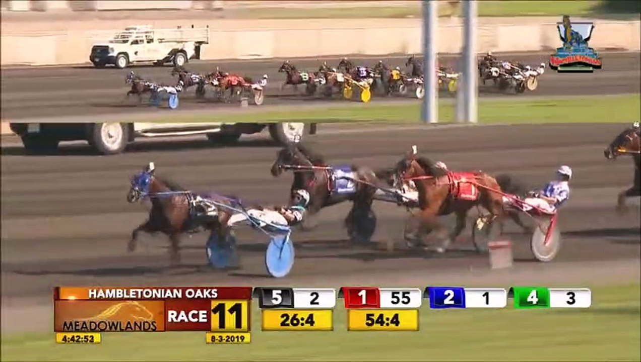 2019 Dan Patch Award Winners