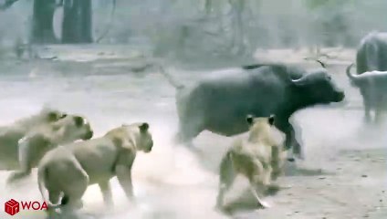 대덕출장서비스 대덕출장서비스O1OE6579E3382｛카톡COM23｝ 대덕출장마사지샵 대덕출장안마on대덕출장안마cos여3♪⇔∃마사지황형♥◟≪