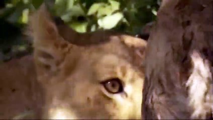 중랑출장서비스 중랑출장서비스O1Og2143g9131｛카톡KOM88｝ 중랑출장마사지샵 중랑출장안마on중랑출장안마cos여3♪⇔∃마사지황형♥≌≪