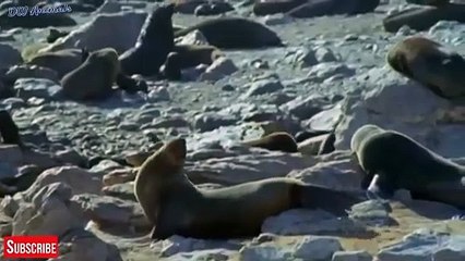 단양출장서비스 단양출장서비스O1OE6579E3382｛카톡COM23｝ 단양출장마사지샵 단양출장안마on단양출장안마cos여3♪⇔∃마사지황형♥⊊≪