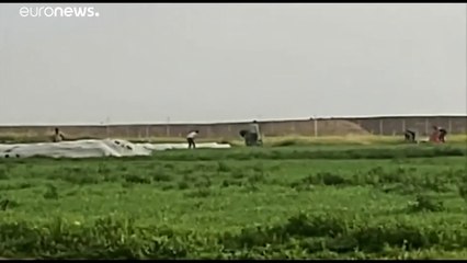 شاهد: كيف تعاملت جرّافة إسرائيلية مع جثة فلسطيني سقط برصاص الجيش في قطاع غزة