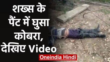 Snake से भरे Well में गिरा युवक, घंटों बाद निकाला  तो Trouser में घुसा था Cobra | वनइंडिया हिंदी