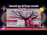 संसाररूपी वृक्ष की सही जानकारी | Sant Rampal Ji Sastang | SATLOK ASHRAM