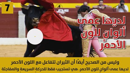 10نصائحَ من شأنِها أن تنقذَ حياتك.