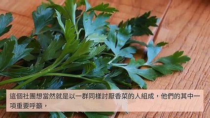 CollectionVideo-adgeek_teepr_curation-www.teepr.com-copy4-TeeprParser-2020/02/25-10:31