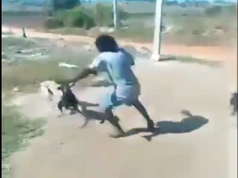 COMO DEFENDERSE DE UNA MANADA DE PERROS XD 