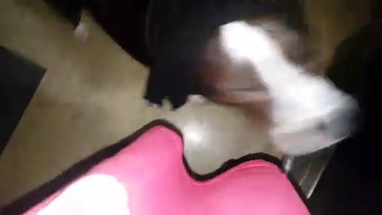 Bruno the pitbull keeps warm in his scarf!