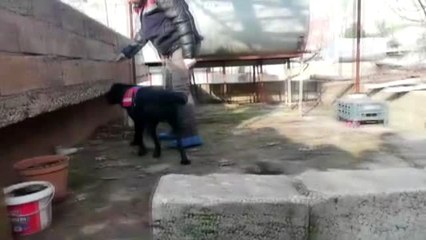 Uyuşturucu operasyonunda yakalanan kişi tutuklandı