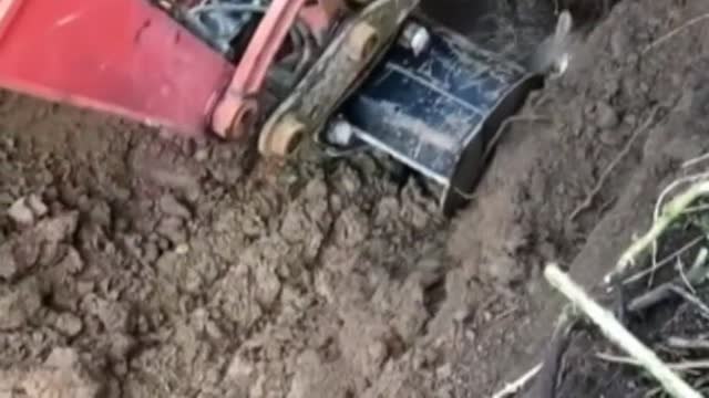 Rescate agónico de un poni que había quedado atrapado en un pozo en Gales