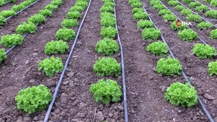 Seracılık köyden şehre göçü durdurdu