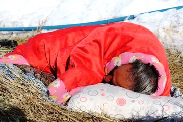 Deprem korkusu nedeniyle otların içerisinde yatıyor