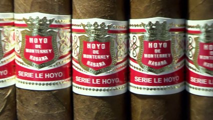 Download Video: Habanos crece en 2019 un 2% y mantiene el liderazgo mundial de puros Premium