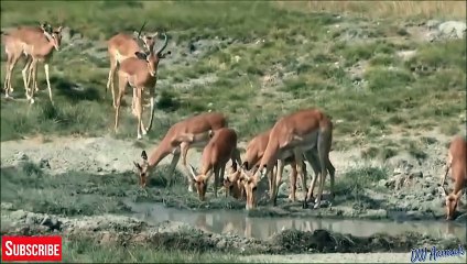 장안출장서비스 장안출장서비스O1OE6579E3382｛카톡COM23｝ 장안출장마사지샵 장안출장안마on장안출장안마cos여3♪⇔∃마사지황형♥⊔≪