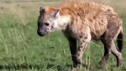 철원출장서비스 철원출장서비스O1Og2118g2518｛카톡TAT22｝ 철원출장마사지샵 철원출장안마on철원출장안마cos여3♪⇔∃마사지황형♥⊄≪