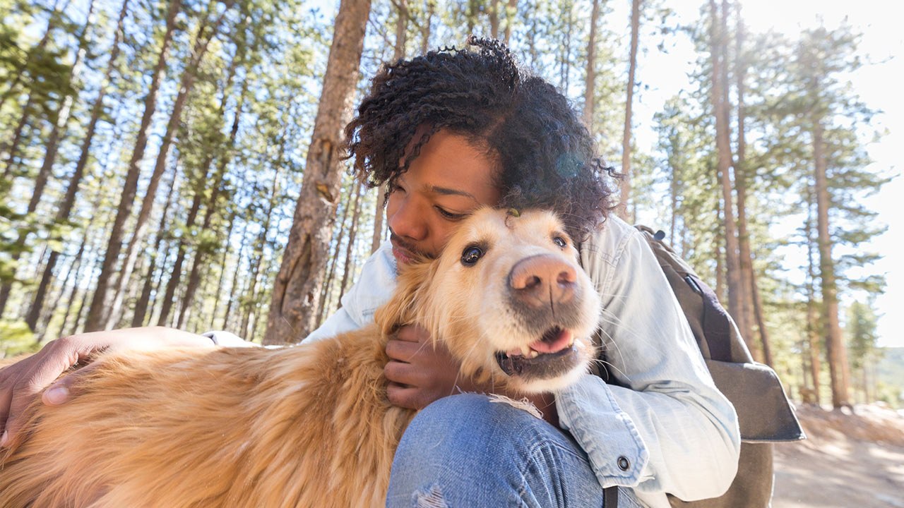 Darum sind Haustiere gut für uns!
