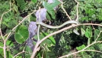 경주출장서비스 경주출장서비스O1Og2154g6609｛카톡VPN58｝ 경주출장마사지샵 경주출장안마on경주출장안마cos여3♪⇔∃마사지황형♥≧≪