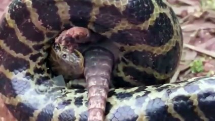 영월출장서비스 영월출장서비스O1Og2154g6609｛카톡VPN58｝ 영월출장마사지샵 영월출장안마on영월출장안마cos여3♪⇔∃마사지황형♥◚≪