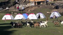 Fairy Meadows & Nanga Parbat Base Camp, Pakistan in 4K Ultra HD