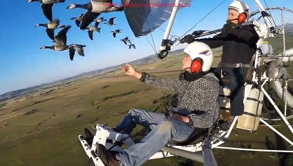 Amazing flights with birds on board of a microlight. Christian Moullec avec ses oiseaux