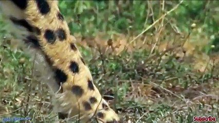 장안출장서비스 장안출장서비스O1OE9914E7203｛카톡DDD22｝ 장안출장마사지샵 장안출장안마on장안출장안마cos여3♪⇔∃마사지황형♥∾≪