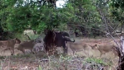 영광출장서비스 영광출장서비스O1Og4832g2166｛카톡BBC42｝ 영광출장마사지샵 영광출장안마on영광출장안마cos여3♪⇔∃마사지황형♥⊑≪