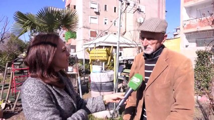 Pensionisti kujdeset për lulishten/ Elbasan, 76 vjeçari e mirëmban si ta kishte kopshtin e vet