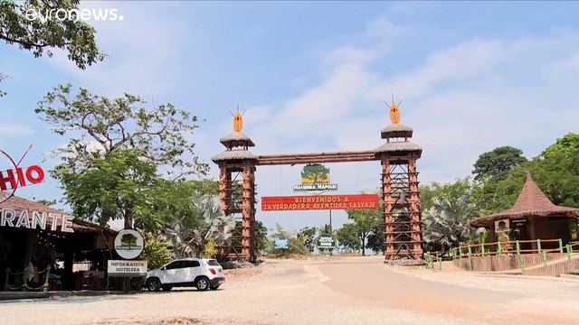 Los hipopótamos de Pablo Escobar, una herencia peligrosa para Colombia