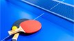 South Korea Table Tennis Championships Delayed Due To Coronavirus