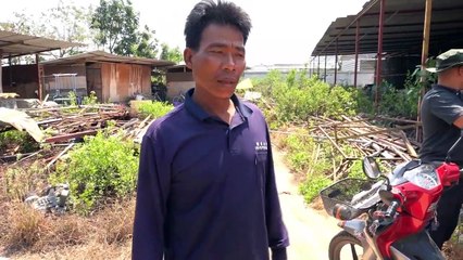 Builder shocked after finding 14ft long python in digger bucket in Thailand