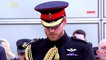 Prince Harry and Meghan Will Need Expensive Security