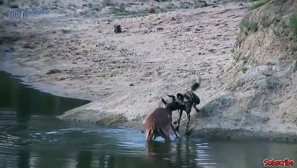 마산추천업소【OI0↔29O8↔68O③】마산추천업소예약♥≛≪