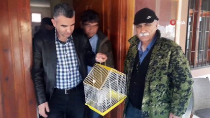 Yaralı atmaca tedavisinin ardından doğaya salınacak