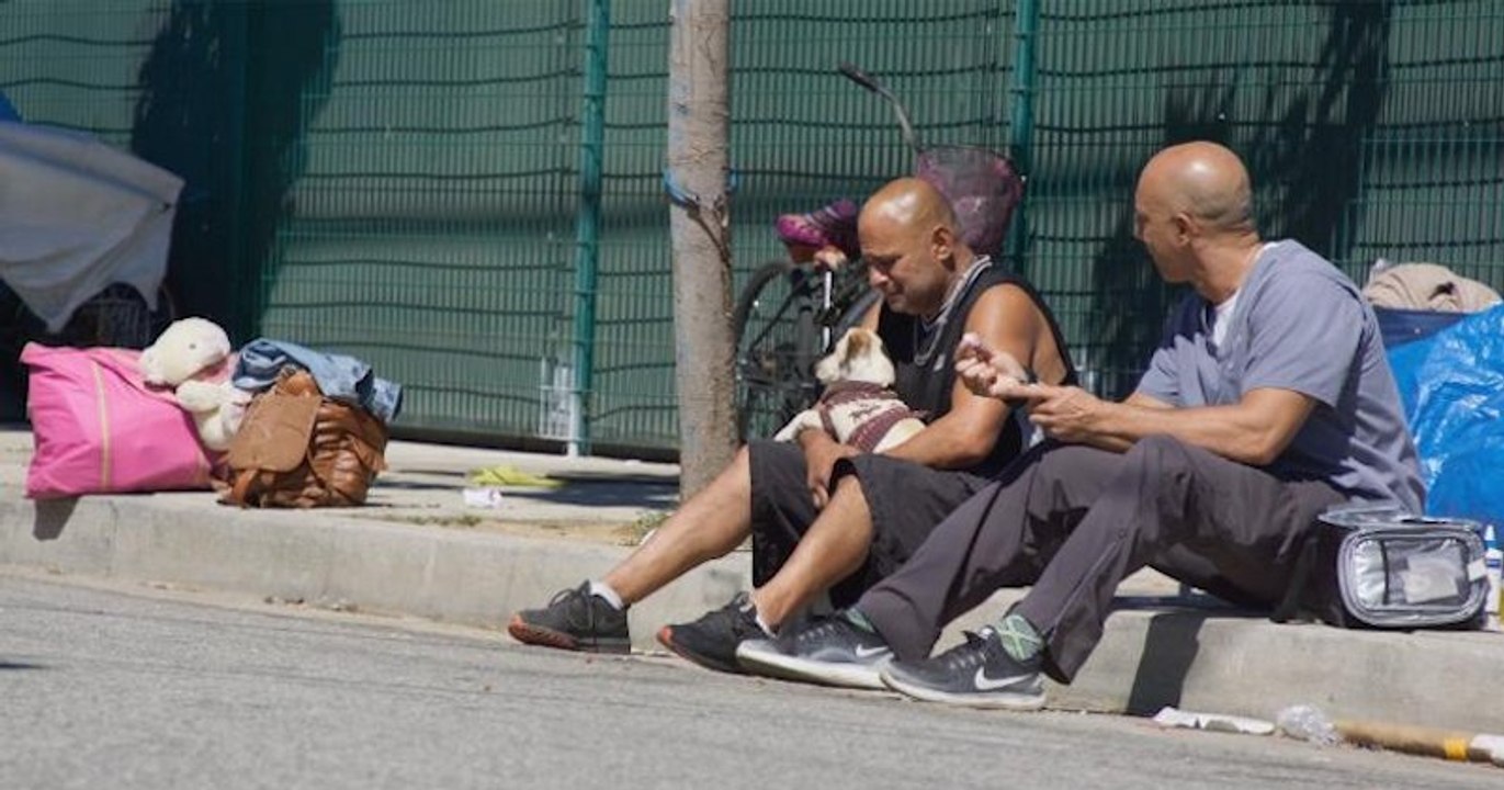 Ce vétérinaire passe son temps dans les rues de Californie pour traiter gratuitement les animaux des sans-abri