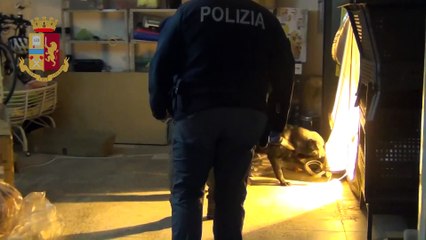 Siracusa - Nascondeva in casa droga, piante di marijuana (25.02.20)