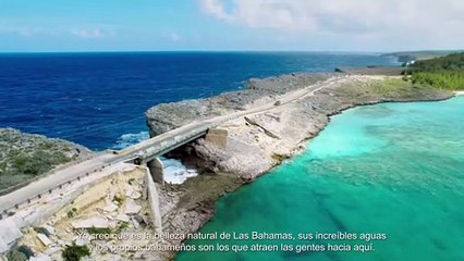 Bahamazing Expériences - Las Bahamas por Lenny Kravitz