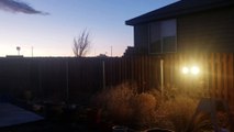 Tumbleweed Flies Directly into Man's Face