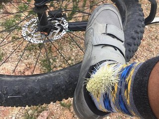 Here are the 7 worst decisions you can make in Phoenix - ABC15 Digital