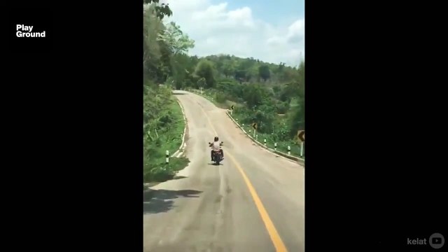 A las serpientes no les gustan las motos