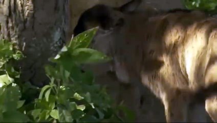 당진출장서비스 당진출장서비스O1Og4838g4959｛카톡SBS52 라인VPN58｝ 당진출장마사지샵 당진출장안마on당진출장안마cos여3♪⇔∃마사지황형♥⊏≪