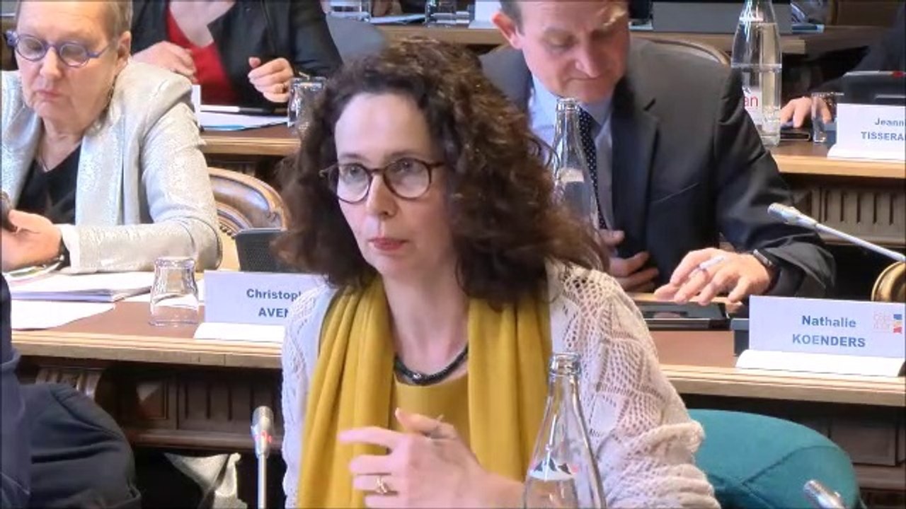Sandrine HILY. Projet alimentaire territorial. Session du 24 février 2020.