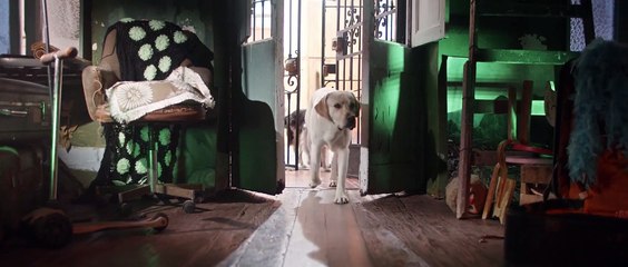 De patitas a la calle - Trailer oficial