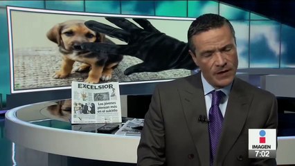 El perrito "Mafioso" fue secuestrado. ¡Ellos se lo robaron!