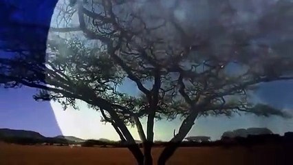 아산출장서비스 아산출장서비스O1OE2104E4640｛카톡YOK88｝ 아산출장마사지샵 아산출장안마on아산출장안마cos여3♪⇔∃마사지황형♥◟≪