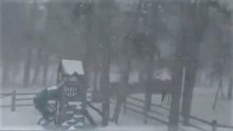 Powerful winds whip snow through backyard