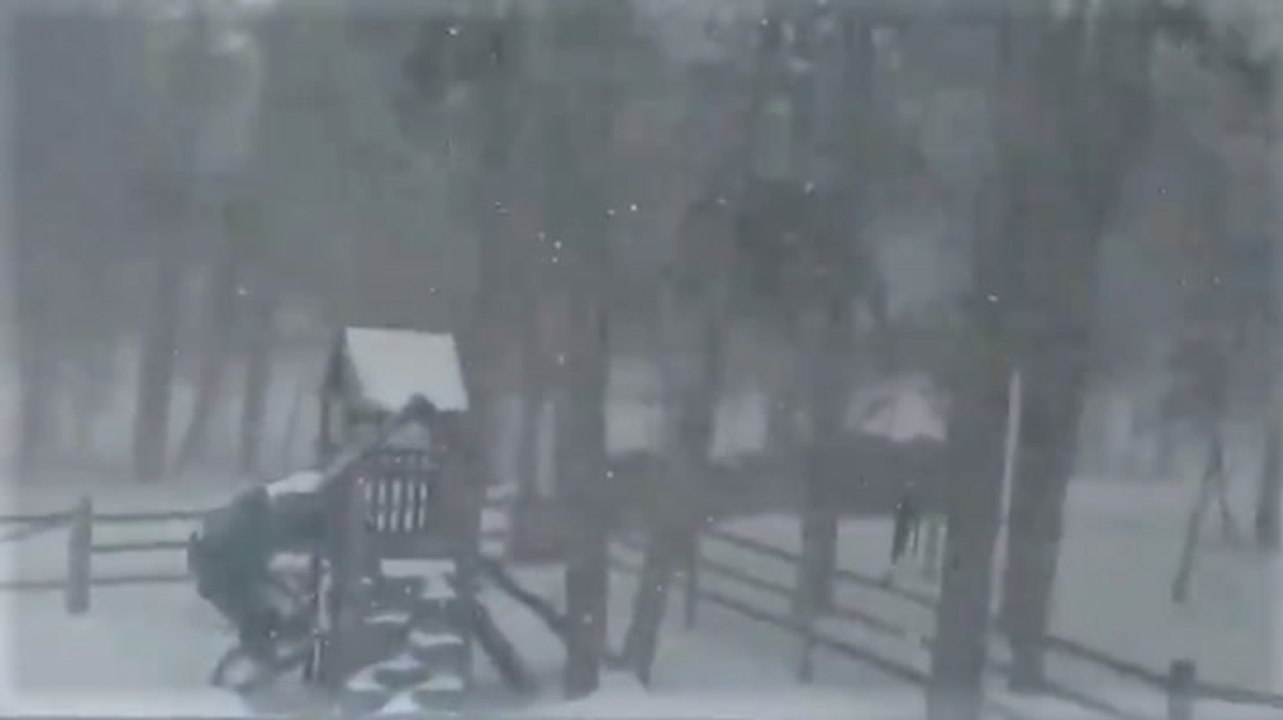 Powerful winds whip snow through backyard