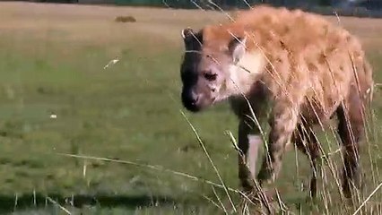 춘천출장서비스 춘천출장서비스O1OE6579E3382｛카톡VS67｝ 춘천출장마사지샵 춘천출장안마on춘천출장안마cos여3♪⇔∃마사지황형♥◝≪