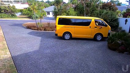 Courier Frisbees Parcel during Delivery