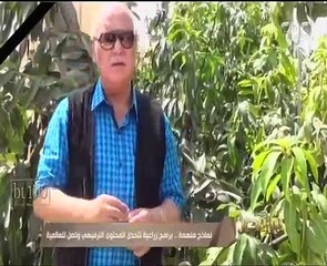 نماذج ملهمة.. برامج زراعية على "يوتيوب" تتحدى المحتوى الترفيهى وتصل للعالمية